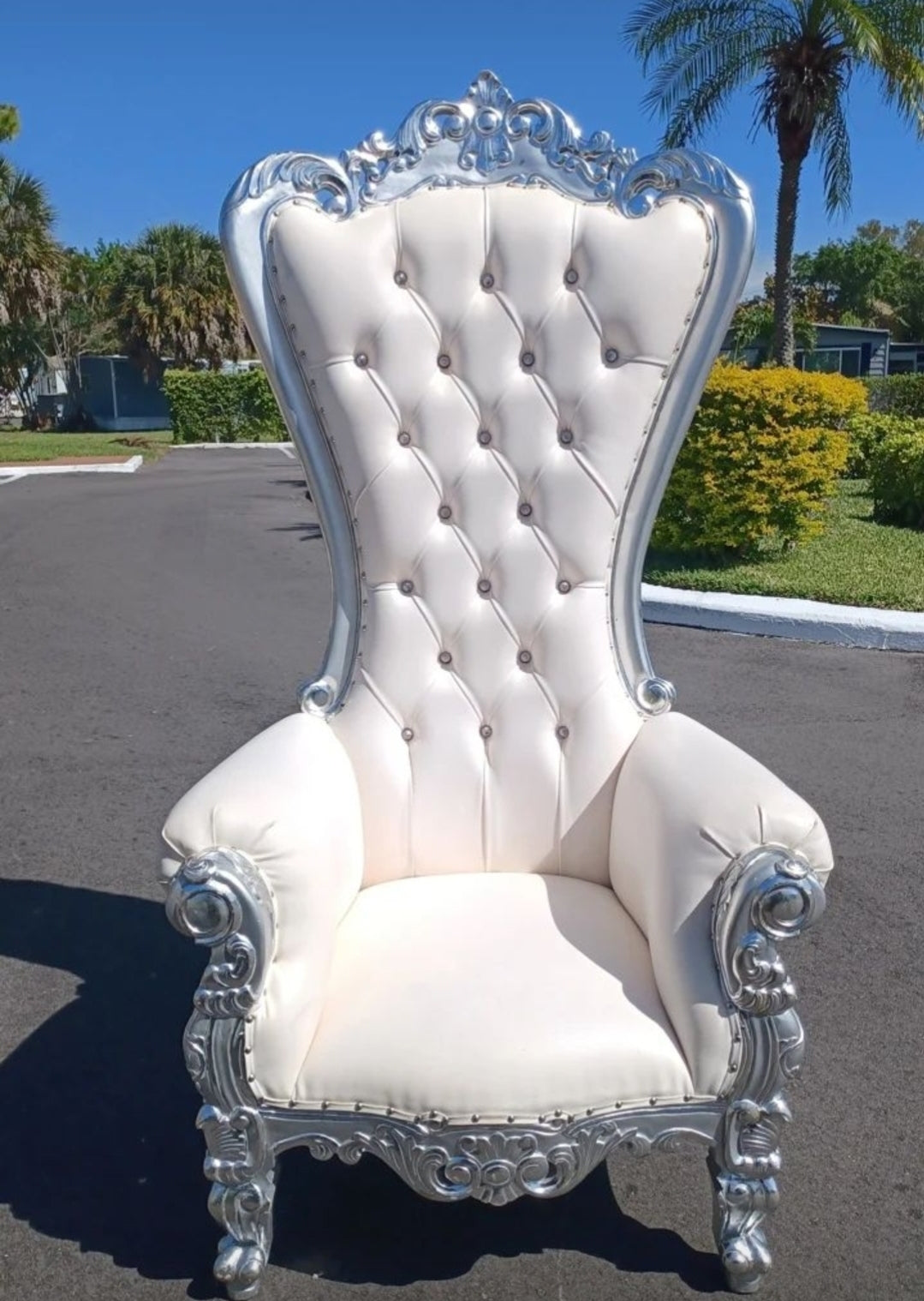 Throne Chair White with Silver Trim