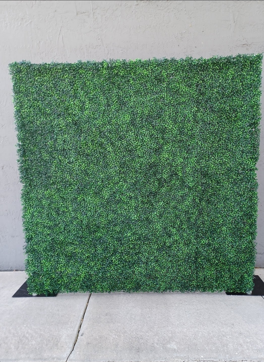 Grasswall Backdrop