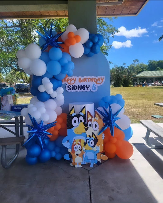 Kids Themed Backdrop- Any Design